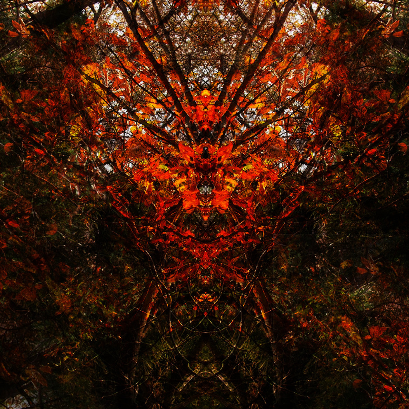 cpr009_nyctalopia_cover